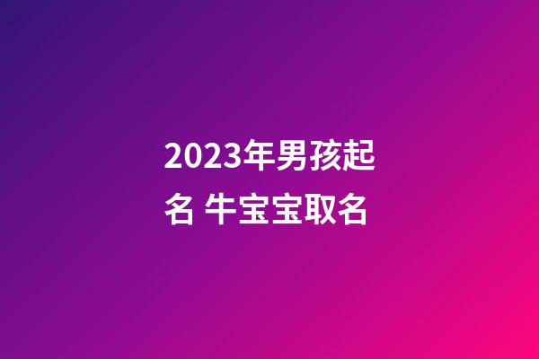 2023年男孩起名 牛宝宝取名
